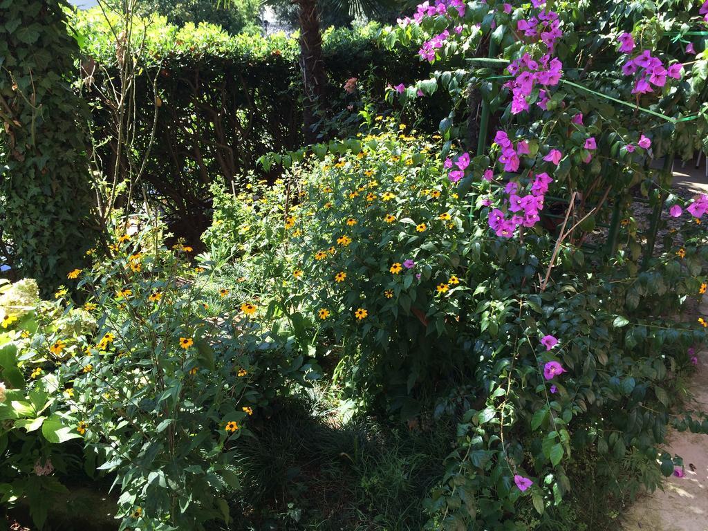 Bed & Breakfast Borka Opatija Ngoại thất bức ảnh